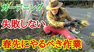 【荒地リフォーム10】春先に必要なお庭のメンテナンス教えます　【ガーデニング】【園芸】【初心者】【管理】