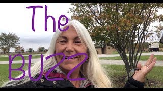 The Wednesday Buzz With Rvrebel Girl