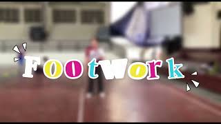 Practicum: Skills in Badminton 