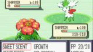 Pokemon Sapphire Hack: Shaymin and its Sky Forme!