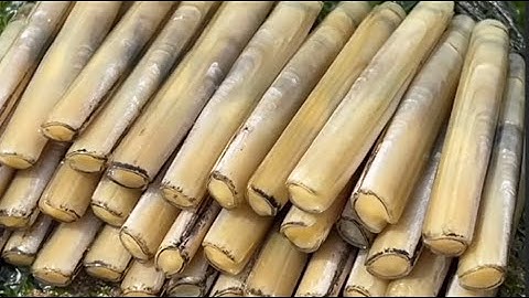 Thủy Triều Rút Lộ Ra Kho Hải Sản Tươi Ngon – Bờ Biển Có Gì Ẩn Giấu?