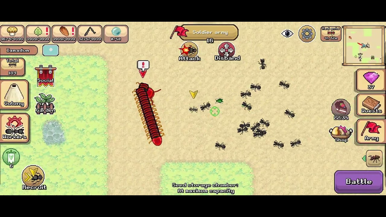 Pocket ants Killing new millipide 