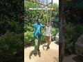 OMALICHA TRENDBHOY Official Dance Visualizer Dance Dancer Shorts Omalichadancechallenge 