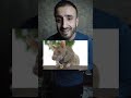 جرذ انقذ حياة الاف البشر راح تنصدم