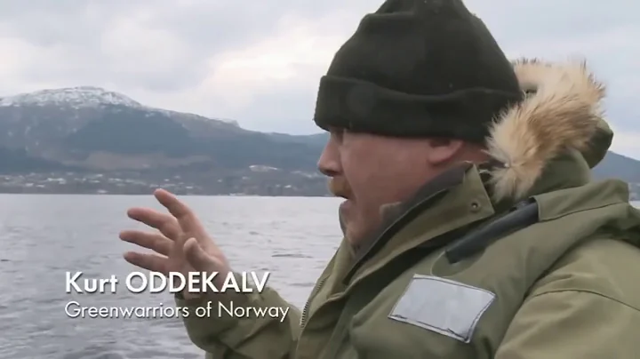 Farmed Norwegian Salmon  Worlds Most Toxic Food