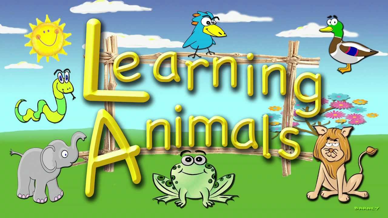 educational videos for preschoolers