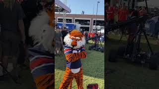 Good Luck to Aubie at UCA Nationals! | #auburn #aubie #wareagle Wealth
