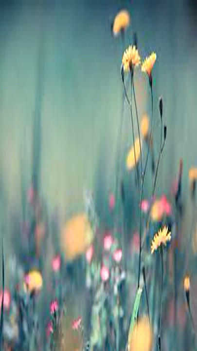relaxing music piano sleep 7483