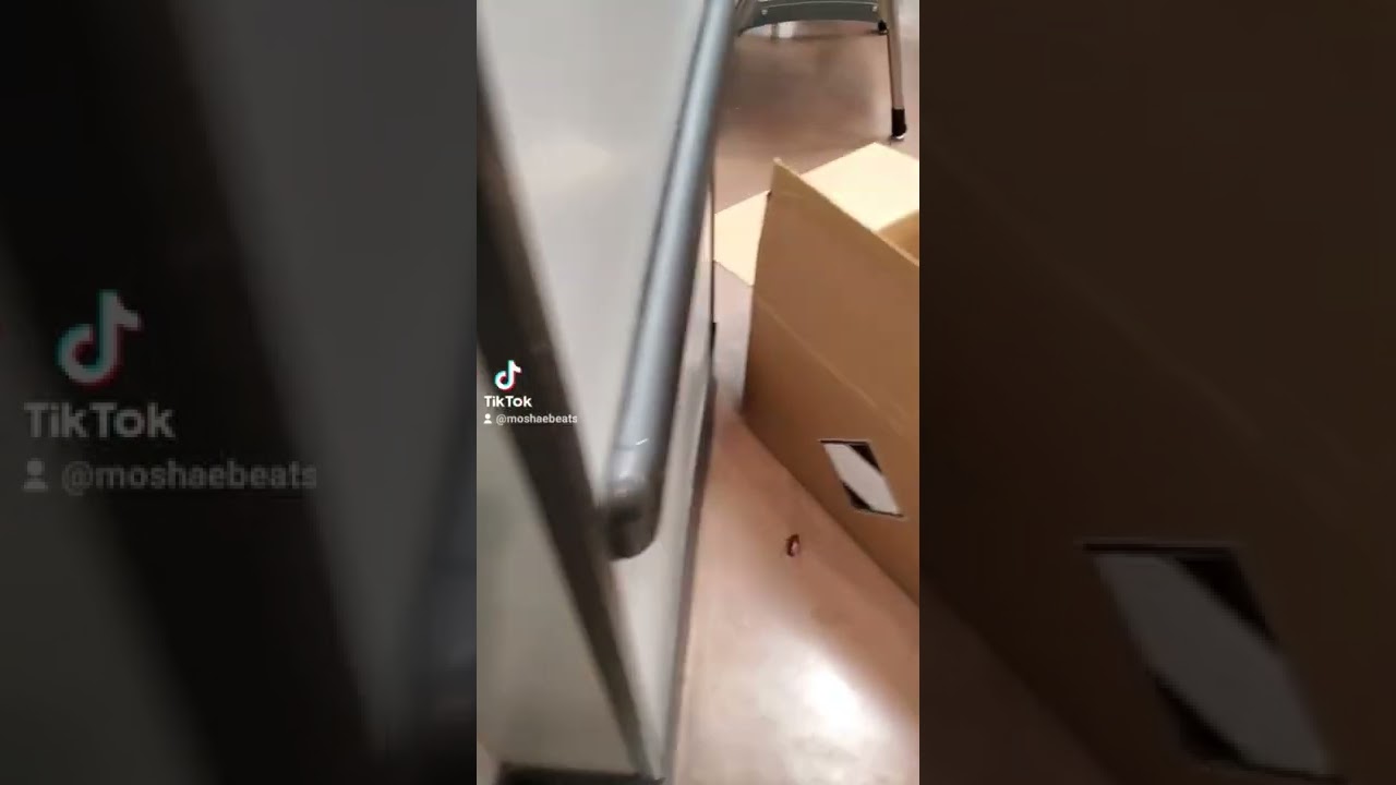 Big Ol' Roach inside Walmart adlı videoyu YouTube'da izle Big Ol' Roach inside Walmart adlı videoyu YouTube'da izle