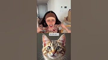 Thumbnail of i got 999iq🤣 #cat #meme #dance #trending