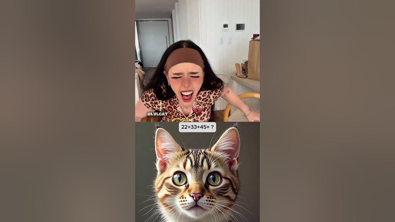 i got 999iqπ€£ #cat #meme #dance #trending i got 999iqπ€£ #cat #meme #dance #trending