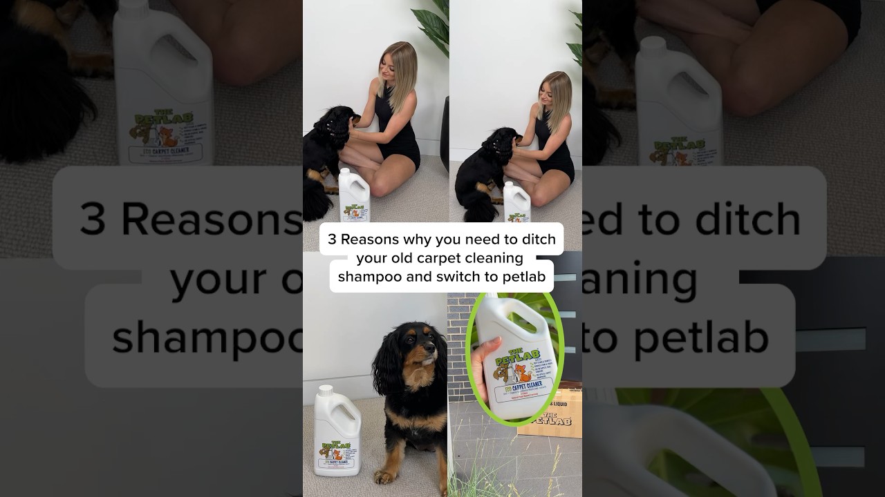 3 reasons why you need to ditch your old carpet cleaning shampoo and switch to PetLab ✨