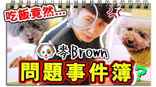 【麥Brown問題事件簿】狗狗吃飯都做「這種事」？被我找到「特別應付道具」？(中文字幕)