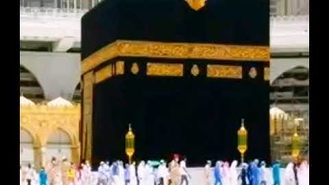 الحج أشهر معلومات | تلاوة هادئة | بصوت القارئ نور الدين عماد