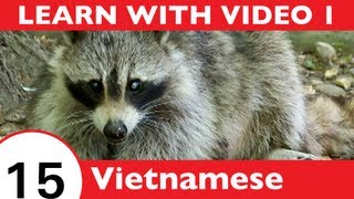 ⁣Learn Vietnamese with Video - Learn Awesome Vietnamese Forest Animal Vocabulary!