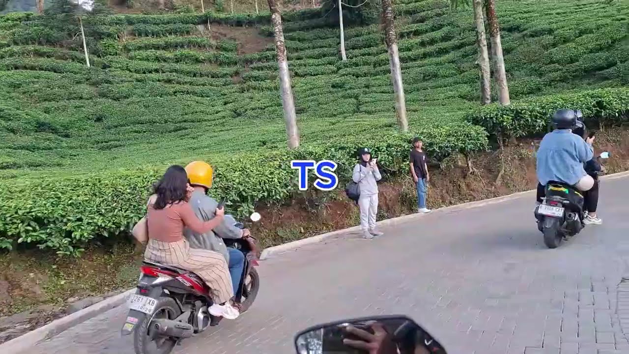 Suasana baru di Telaga Saat Puncak Bogor 2025 \\ 0km Ciliwung