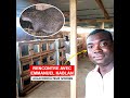Avec 200 000 fcfa cet ivoirien construit un business autour de laulacodiculture