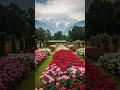 Rose garden kashmir #islamicvideo #quran #urdutranslation #short