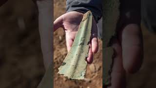 Celebrity Metal detectorist helps unearth 3,000-year-old Bronze Age daggers in German cornfield #ancientrelics Wealth