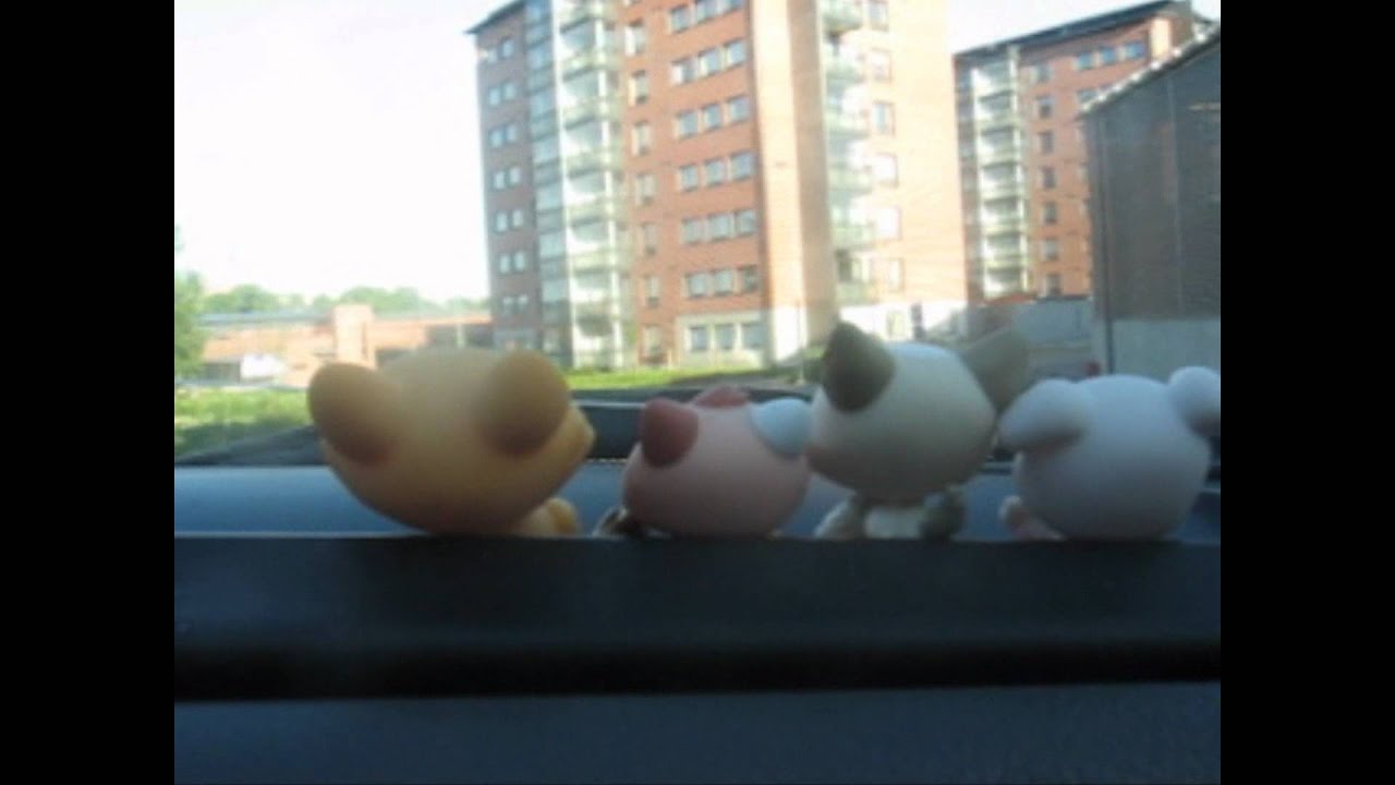 Littlest pet shops in car YouTube