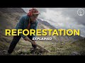 What is Reforestation? | One Tree Planted