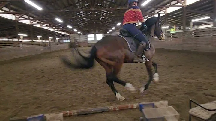 Fandango and Christine Murray 1-1