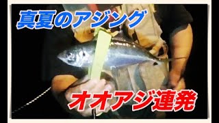 【真夏のアジング 】久々の瀬戸内離島で大アジ連発！！