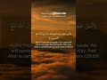 Strive for Allah and He Will Guide You | Quran Reminder 🌙