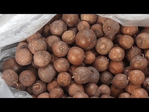 فوائد النبق هل تعلم أن نبق السدر فاكهة جافة معجزة! لن تستغني عنه بعد ...