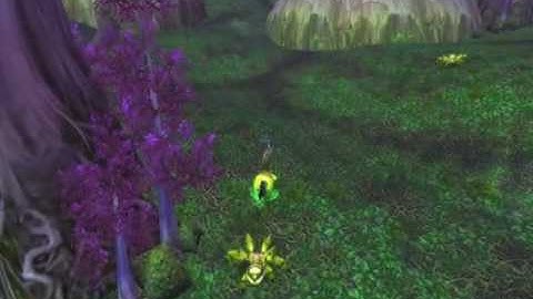 Mainchenn the Pacifist doing quest: Mist