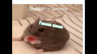 Fat Mouse