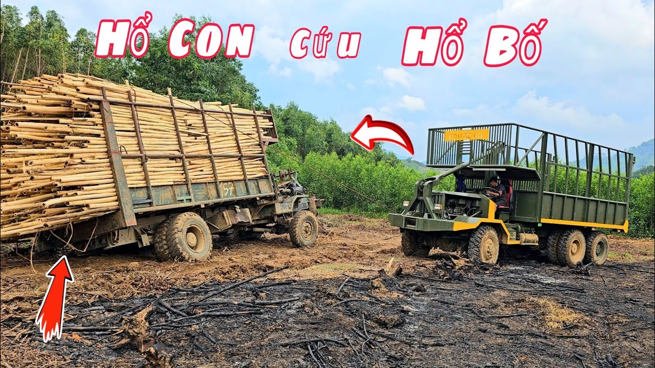 2 Chiếc xe độ lún lầy khi đi chở gỗ và được anh lớn 3 cầu tời lên quá đỉnh