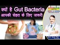 क्यों है Gut Bacteria आपकी सेहत के लिए जरुरी ? || HOW YOUR GUT HEALTH AFFECTS YOUR WHOLE BODY