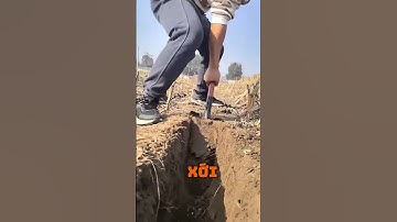 Xẻng Lưỡi Dài – Tạo Rãnh Siêu Nhanh! | Long Blade Shovel – Digging Made Easy 🌱 #farming