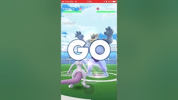 Machamp Solo Raid - 65 sec left record (No weather boost)