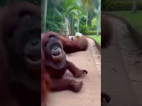 They Recognize Each Other After Years Apart 💖