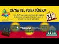 Ramas del poder Público