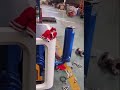 The NSRH Roots blower is tested using ball suspension#Blower#Greentech