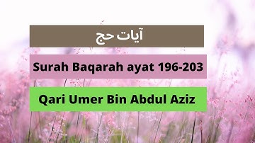 آیات حج سوره بقره 196-203|تلاوت زیبای قاری عمر بن عبدالعزیز|