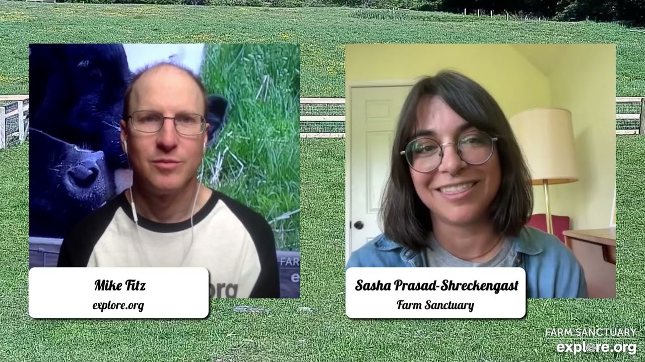 Sasha Mike Interview MoretoExplore Full