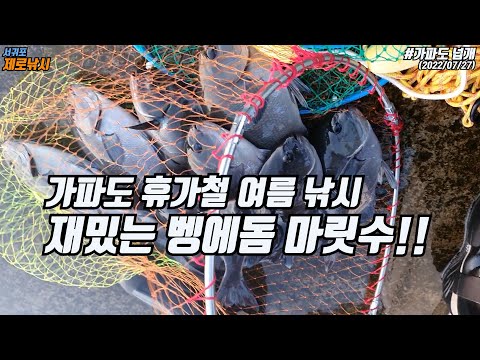 <strong>가파도</strong> 휴가철 재미있는 벵에돔 마릿수 낚시를 해보자