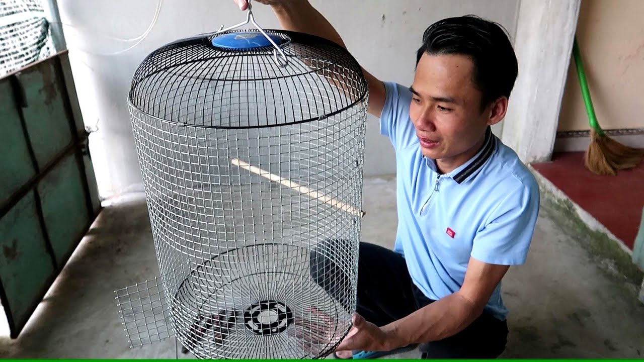 Cách làm lồng chim từ Vỏ Quạt hỏng cực đẹp