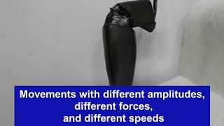Z Robotics Cyberprosthetics 2020 Eng