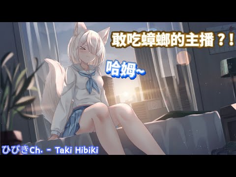 【台V精華】蟑螂跟蝦子一樣好吃 ? !