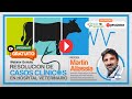 Clase gratuita resolucion de casos hospital veterinario