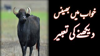 | Khwab mein bhains dekhna | buffalo dream meaning | خواب میں بھینس دیکھنا