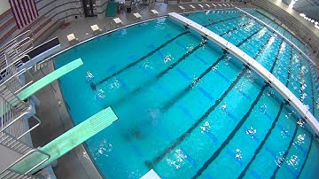 back 1 1/2 with 2 1/2 twist on 3 meter, and a funny ending after the dive :)