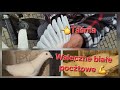 Taśma nie zatrzymała weterana 💪👍Ostra selekcja lotu😉 Cel to 200 na zimę❄️👈🕊