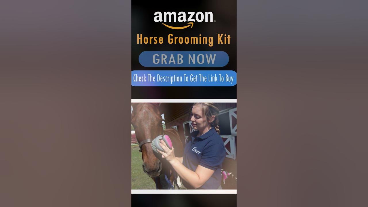 Horse Grooming Kit Tack Shops Near Me Horse Equipment Shorts YouTube