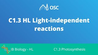 C1.3 HL Light Independent Reactions [IB Biology HL]